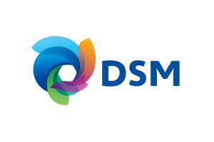 DSM DSM